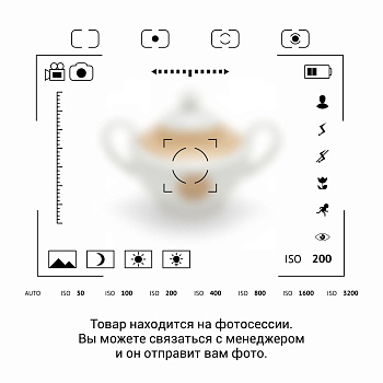 Камелек "Очаг счастья"